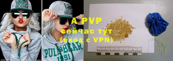 дмт Богданович