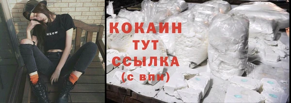 дмт Богданович