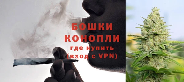 дмт Богданович