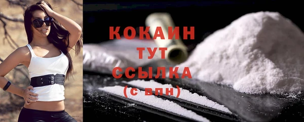 соль ск Богородицк
