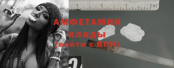 дмт Богданович