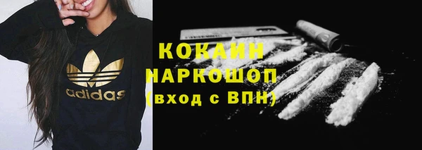 соль ск Богородицк