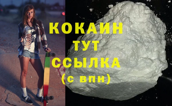 соль ск Богородицк