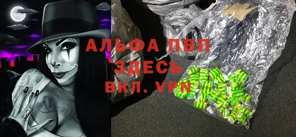 дмт Богданович