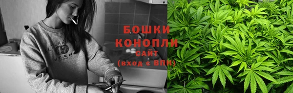 дмт Богданович