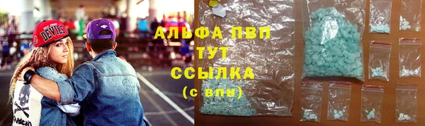 дмт Богданович