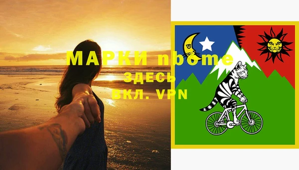 дмт Богданович