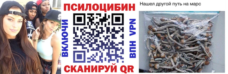 Псилоцибиновые грибы MAGIC MUSHROOMS  Калининец 